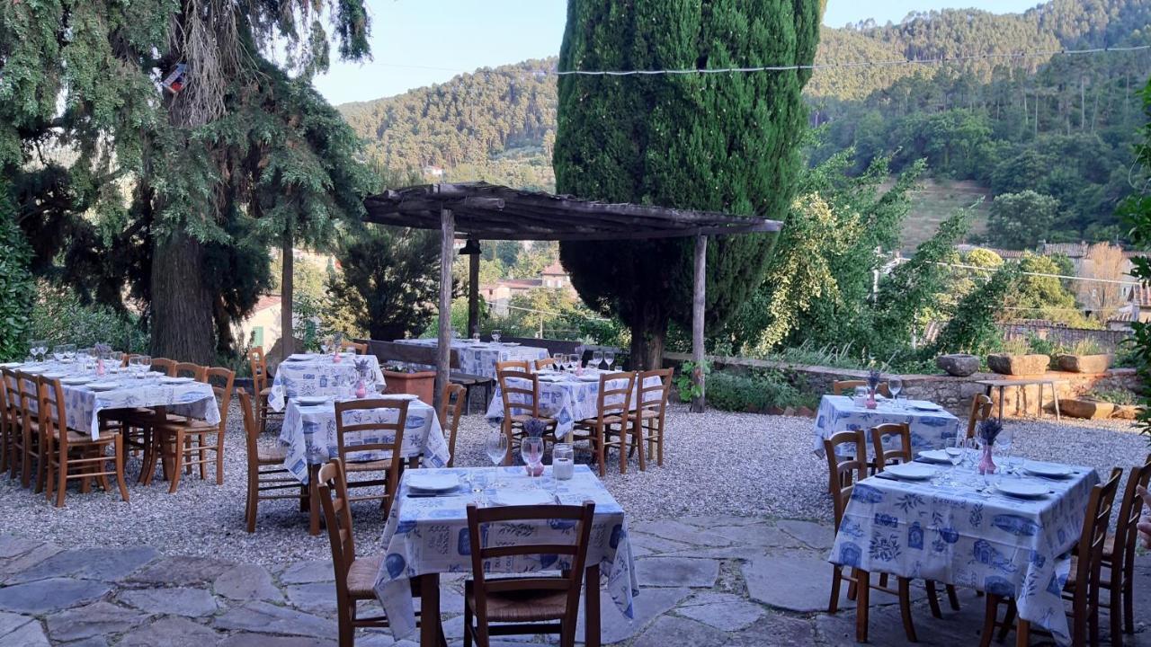 Agriturismo Alle Camelie Villa Capannori Dış mekan fotoğraf