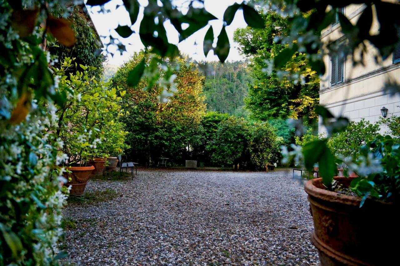 Agriturismo Alle Camelie Villa Capannori Dış mekan fotoğraf